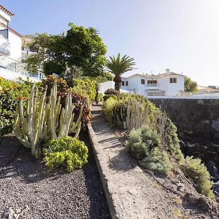 Pn 8 * Puerto de Santiago (Tenerife)